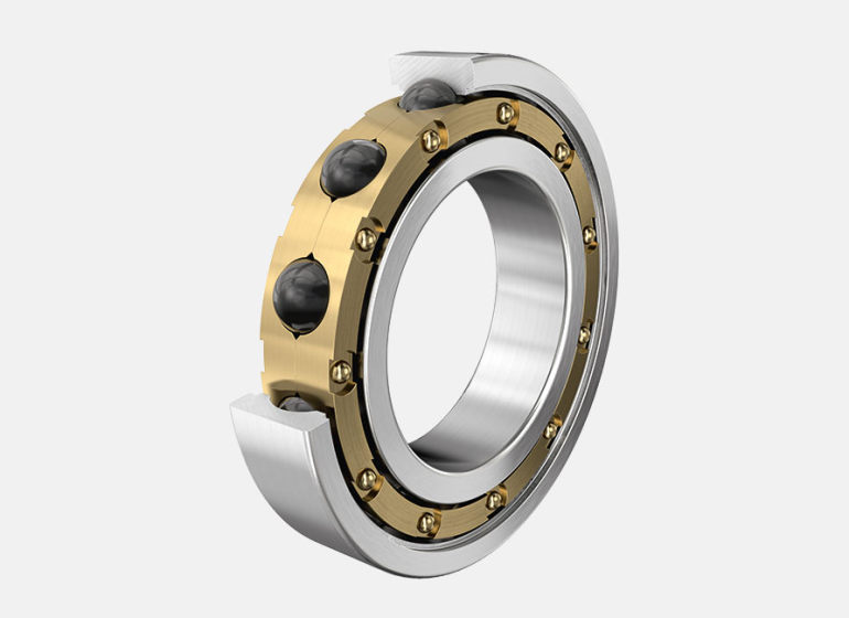 Schaeffler Group (INA-FAG Bearings)