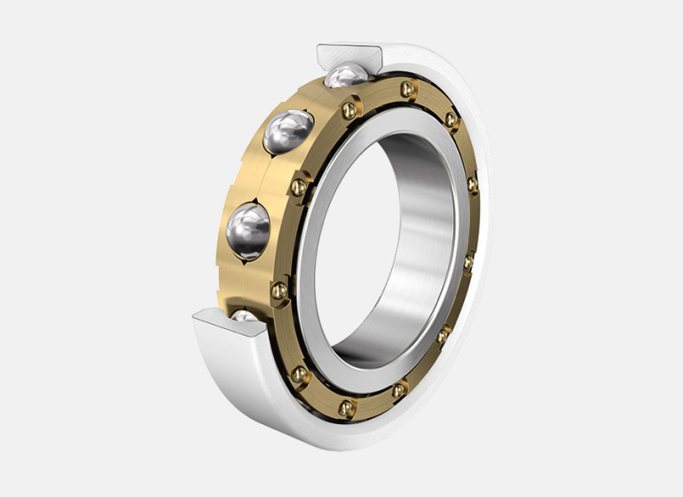 Schaeffler Group (INA-FAG Bearings)